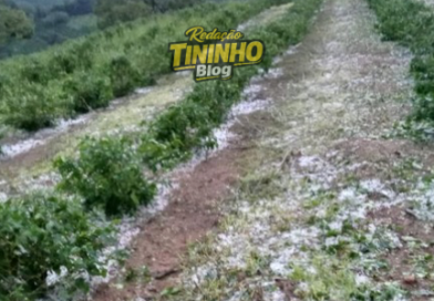 Granizo destrói lavouras de café em Porciúncula e prejuízo é estimado em R$ 12 milhões