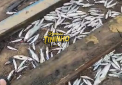 Inea investiga mortandade de peixes no canal do Grajaú, em São Francisco de Itabapoana